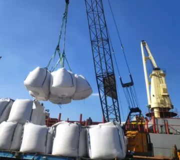 about Salt Company