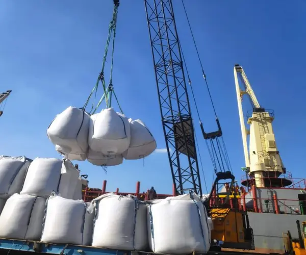 about Salt Company