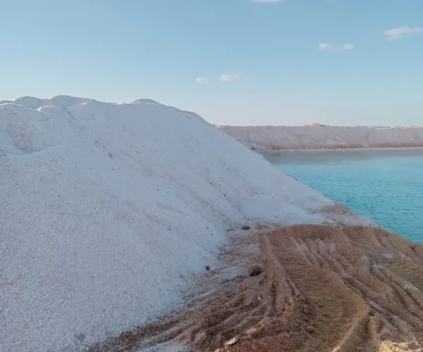 Salt Company