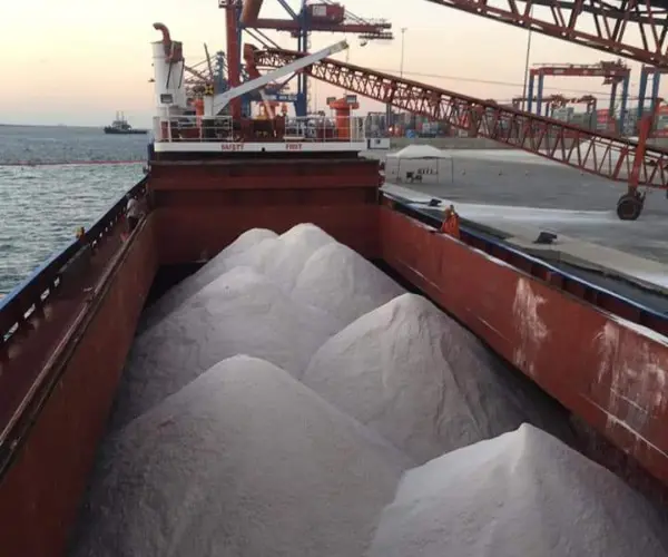 Salt Company