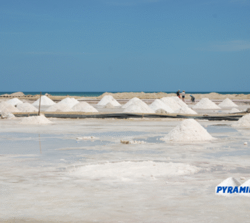 salt in egypt